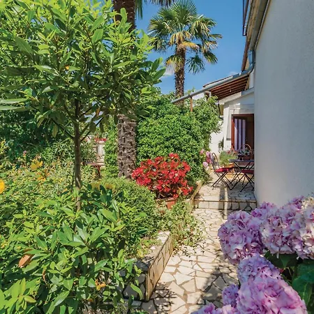 Apartment 2 Bedroom Stunning In *